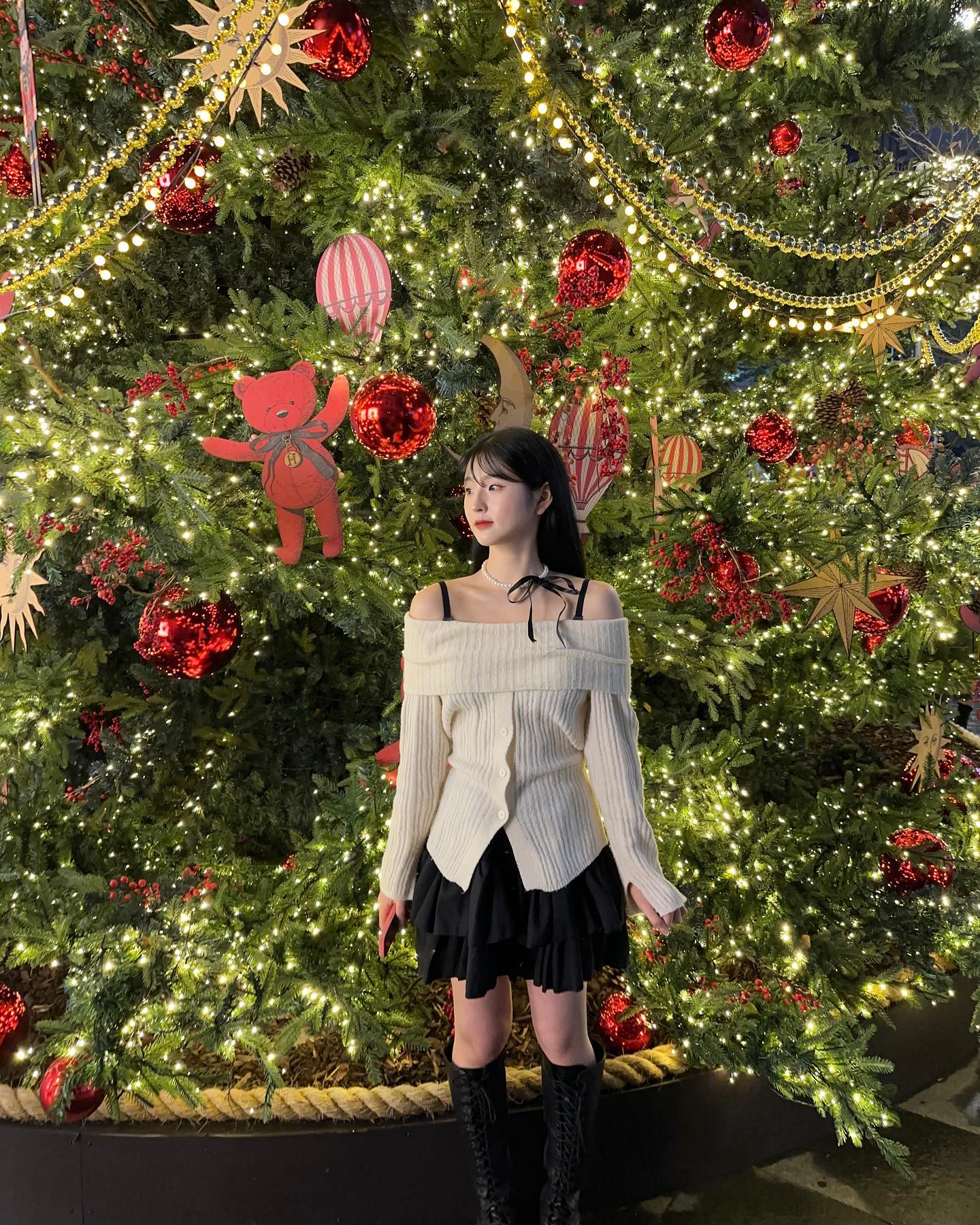 𝑫 - 𝟑𝟑 🎀❄️🎄