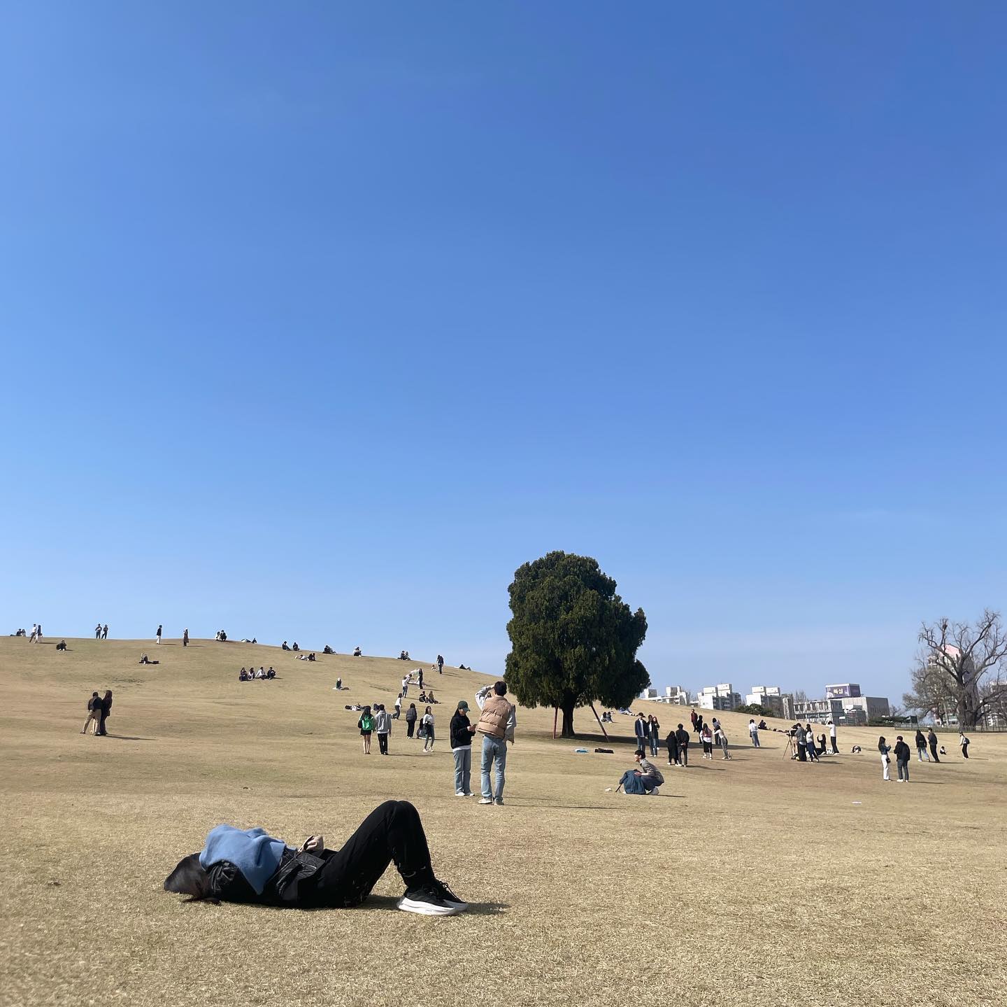 ✨🌼🌳
주말 내 걷고 앉고 눕고 봄 구경