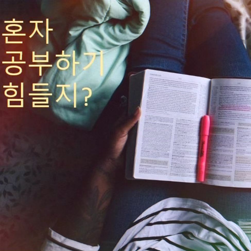 영등포구과외 화상과외 모두의과외

#협찬#영등포구과외 #중학생과외 #고등학생과외 
#검정고시 #과외 #수학과외 #영어과외 #국어과외 #화상과외