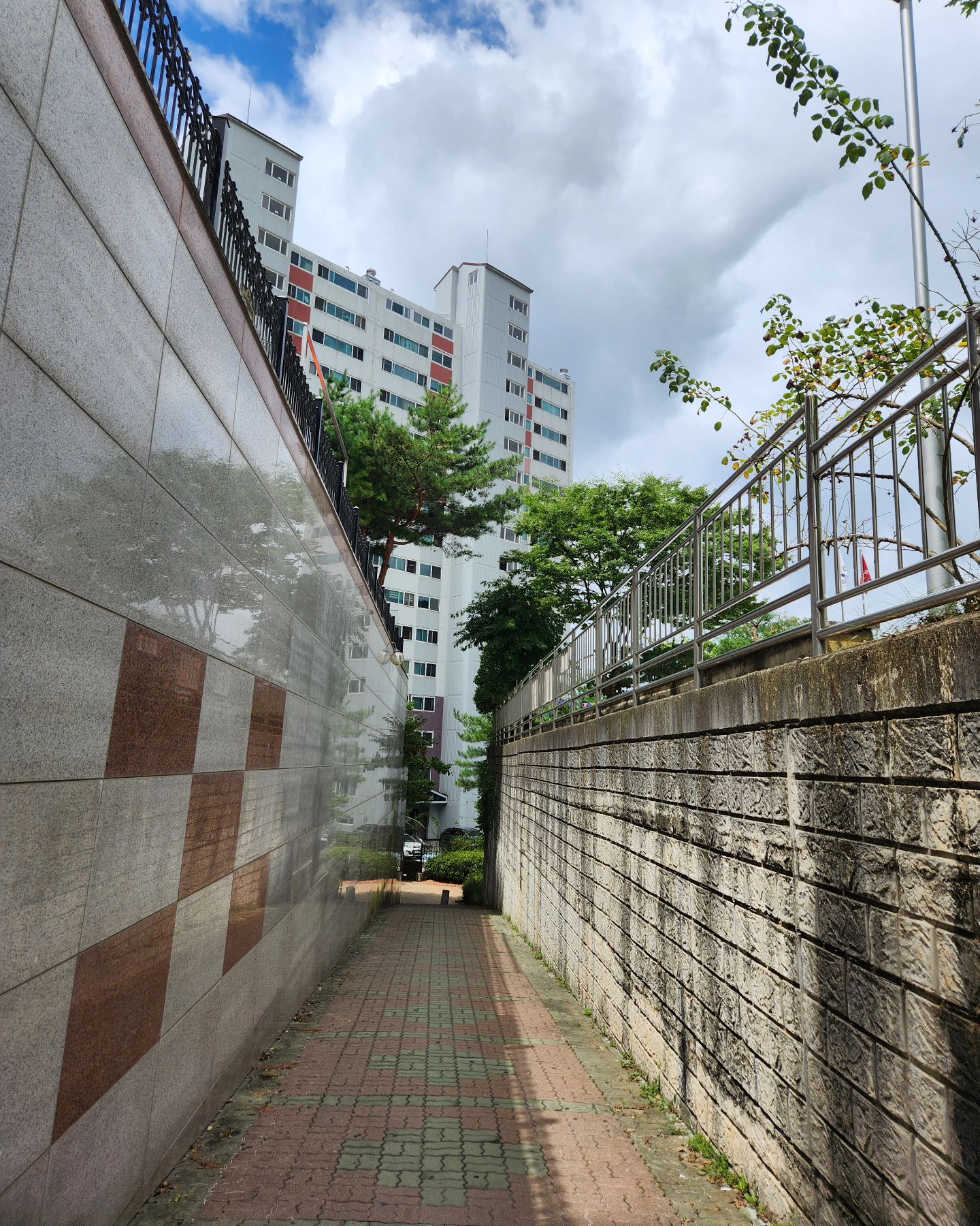 한의원 가는길
매일 걷던길
기분이 이상하네ㅋㅋㅋ
청주에 오래 있으니😄
다시 청주사는 느낌 조으다 조으다🤣

#청주 #걷기좋은거리 #금천광장 #조으다