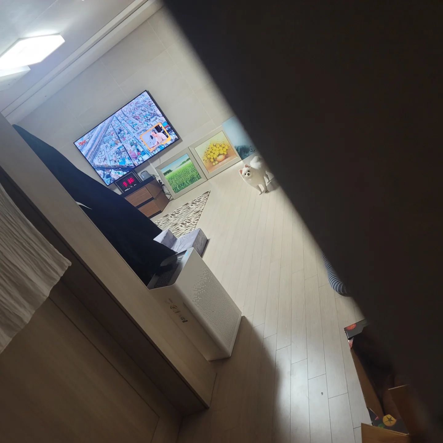 자꾸 누군가의 시선이 느껴진다..

#멍팔맞팔 #스토킹멍뭉이😍 #단비일상