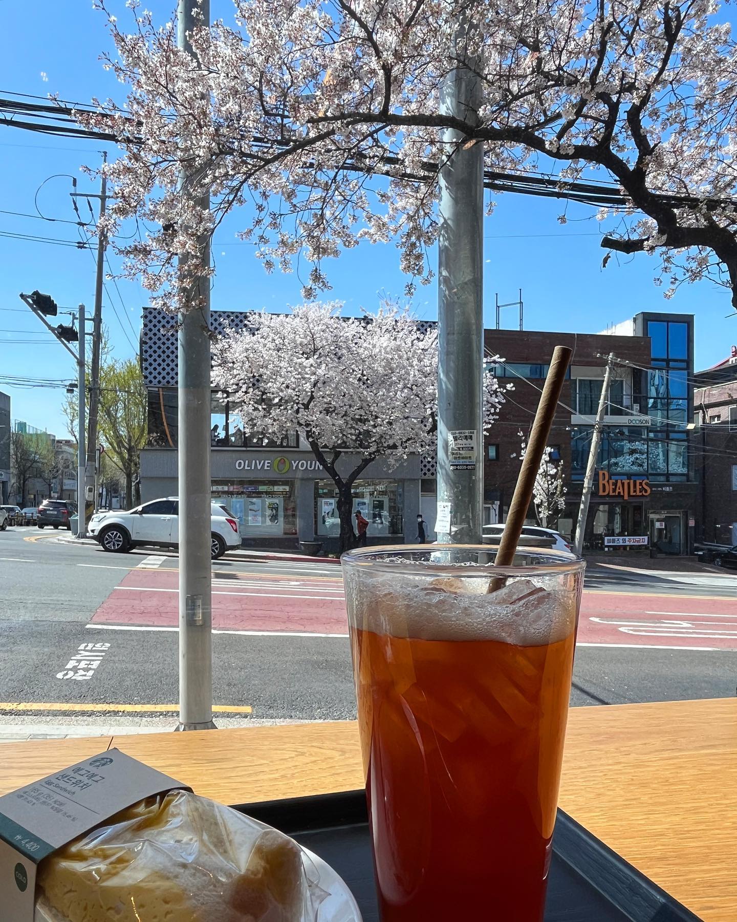 꽃님아 여긴 벌써 봄이란다🌸
