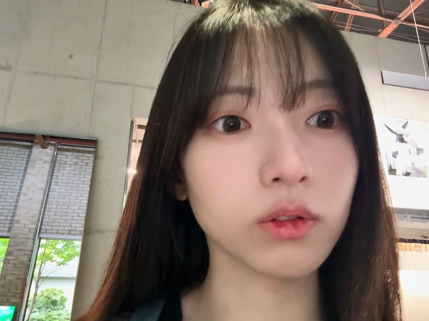 콘텐츠