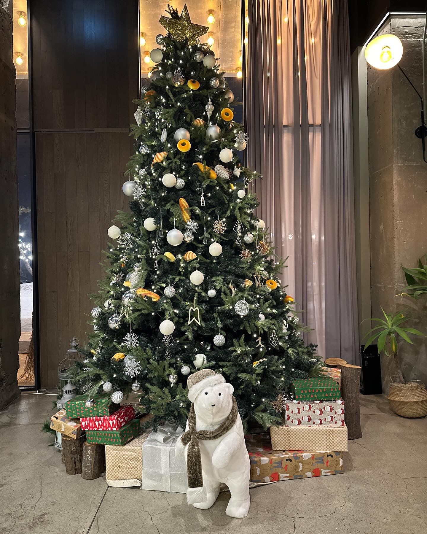#메리크리스마스🎄