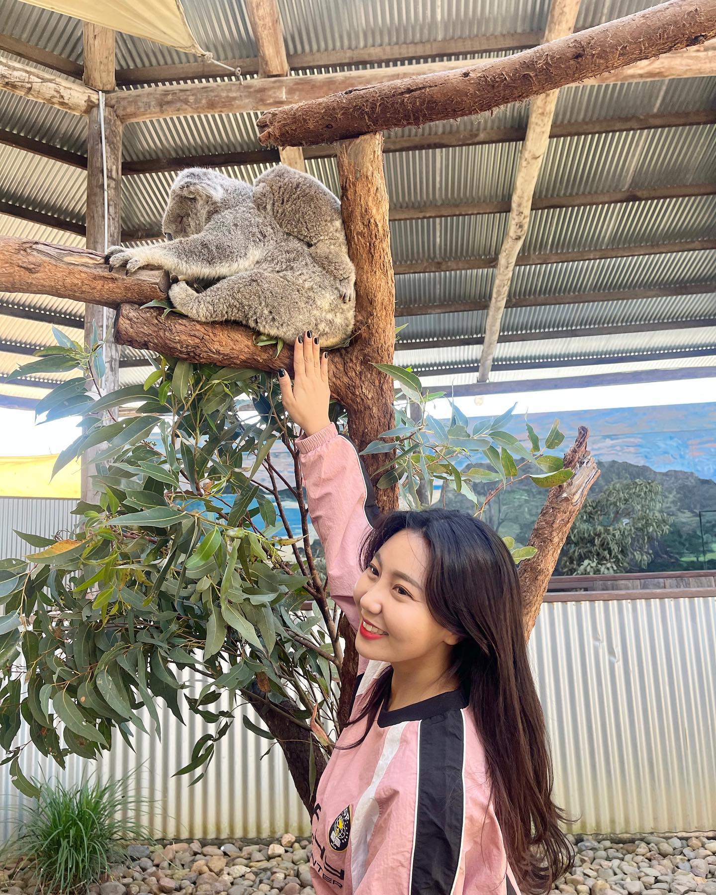 🇦🇺
일어나봐 코알라야!
안일어나니 궁딩이나 만져야겠다