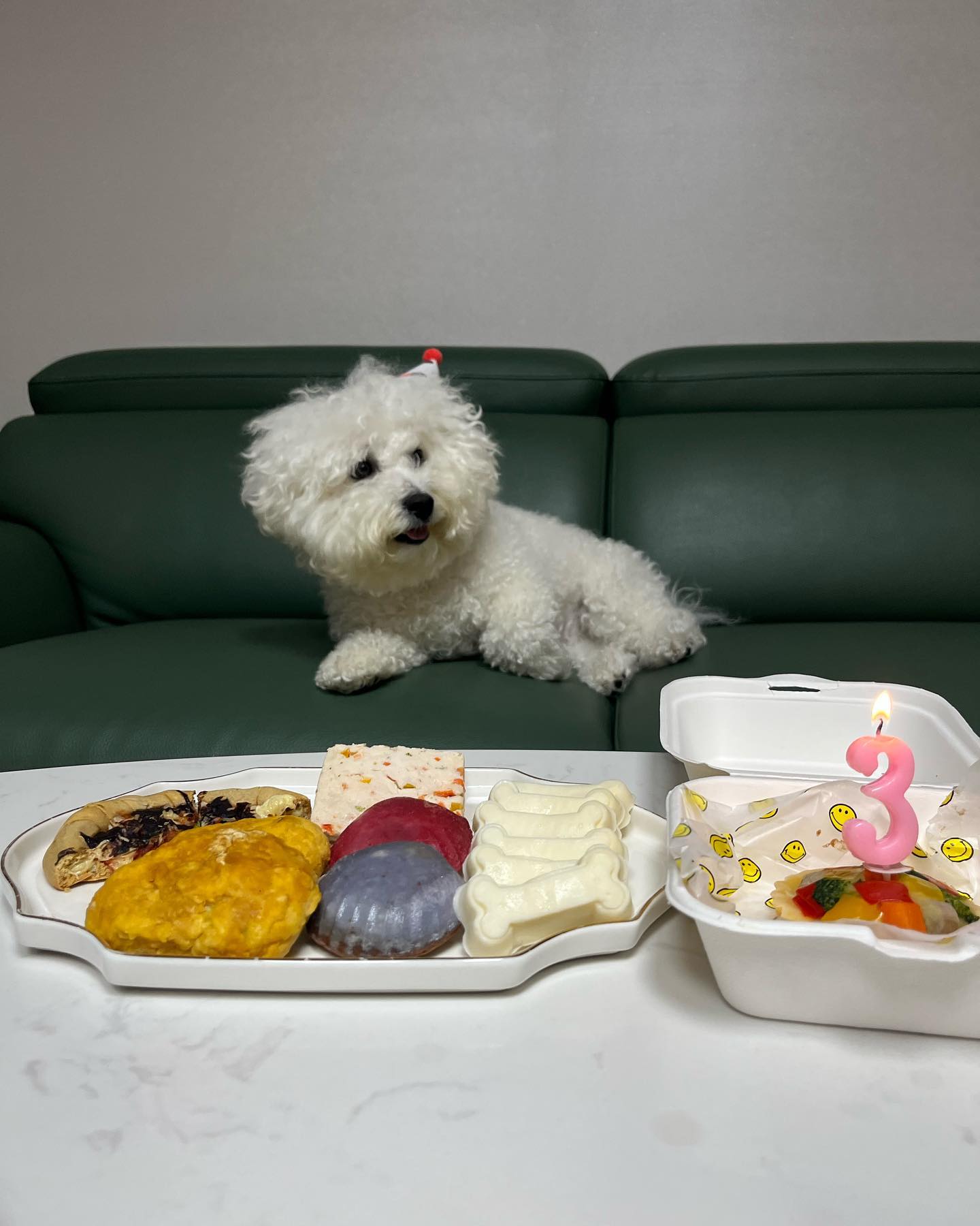 이쁜구름이 생일~🥳🥳
bichon__cloud20 추카해곤쥬야~❤️

.
.
.
.
#비숑프리제 #구름🐶☁ #3살딸래미#생일파티🎂🎉 #반려견생일상 #반려동물수제간식 #멍피자🍕 #멍치킨🍗 #테린🧈##조개마들렌🧁#우유껌🦴#타르트🥧 #반려동물생일축하#반려동물일상#개린이생일파티#ビションフリー第3歳の誕生日パーティー#ペットの手作りおやつを作って誕生日パーティーをした#ワンちゃんの日常スターグラム