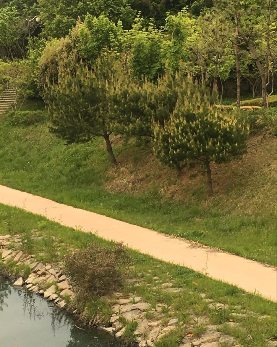 콘텐츠