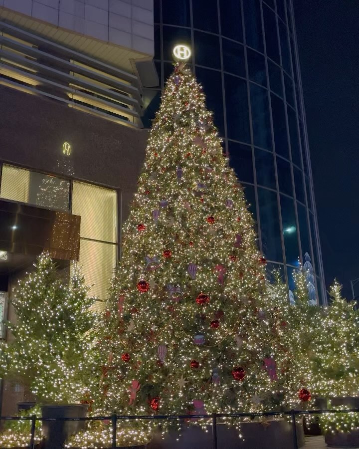 스물다섯이지만 벌써 신나는 나에요 ,,, 🎄