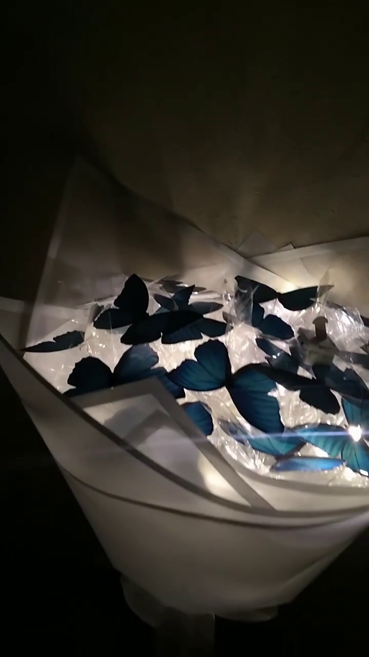 🤍🦋