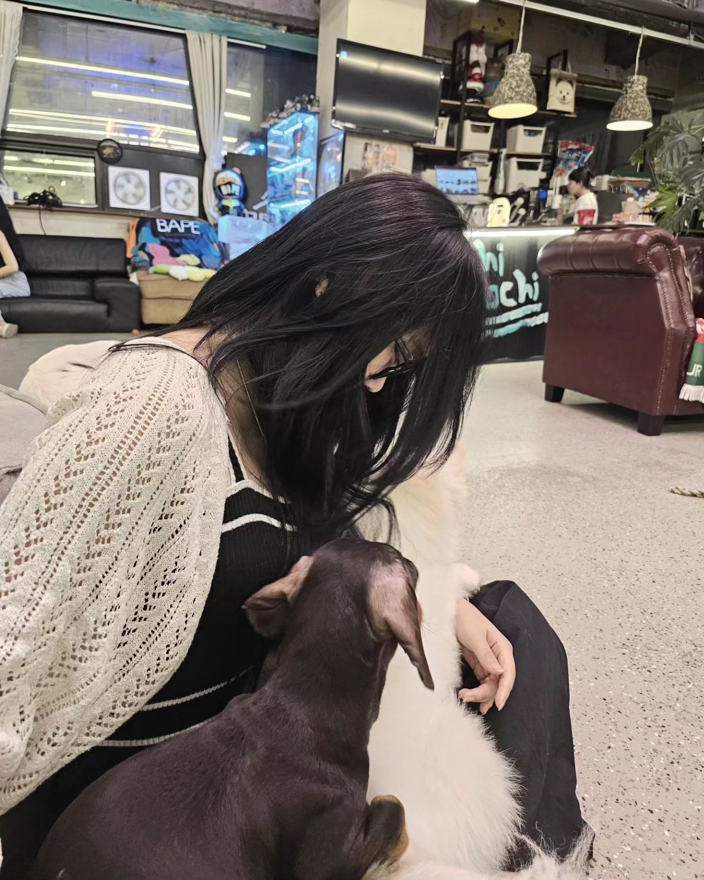🐶