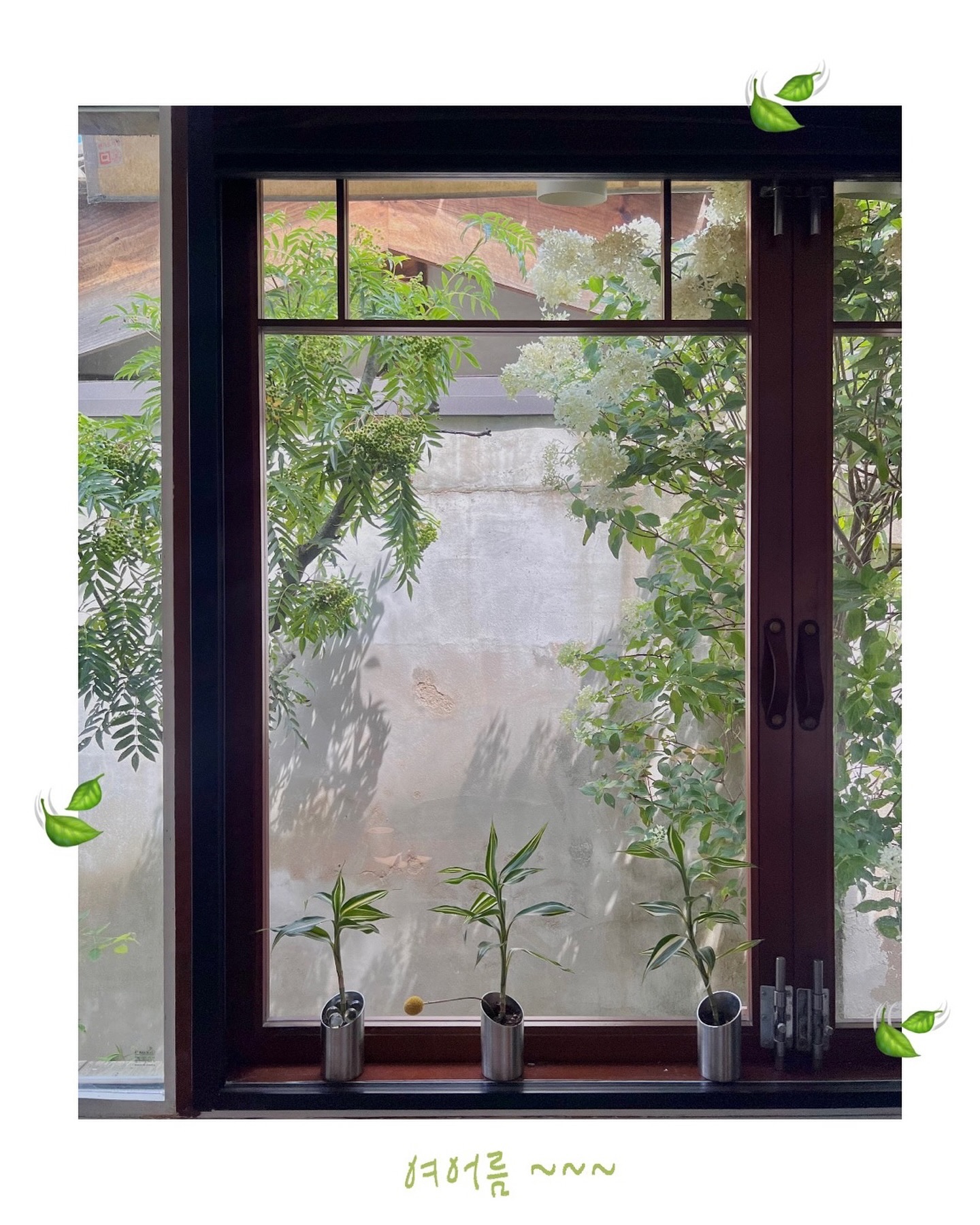 초록을 거머쥔 여름의 근황 모음 ₊⁺⊹ 🪀 💚 ⋆˚｡⋆ 🍀 👒 🧃 ˚⊹🍾