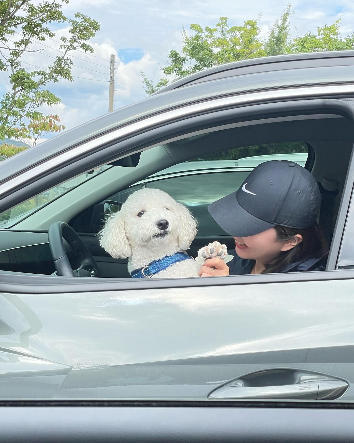 🚗뛰뛰빵빵🎈