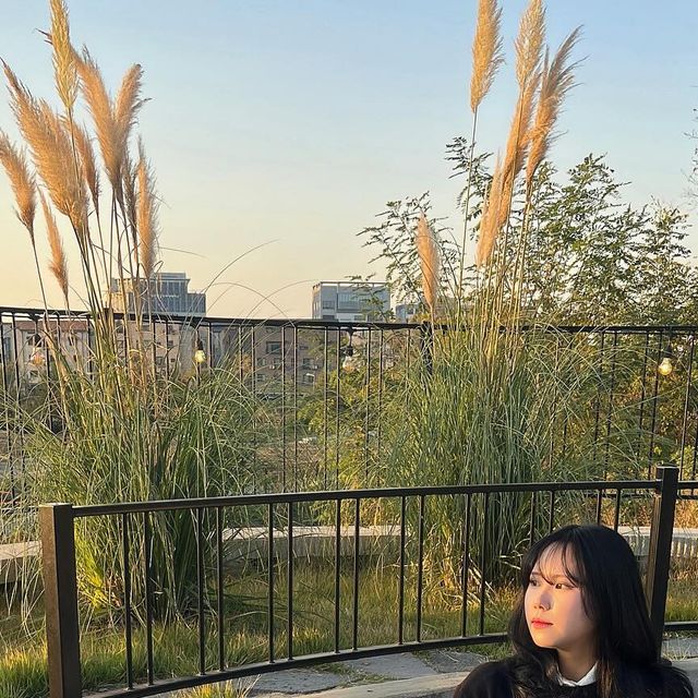 지현이요 on Instagram: "#협찬 해가 너무 빨리져서 노을 사진 찍기도 어렵타.. #스탠다드에러 #스탠다드에러맨투맨 #남여공용맨투맨 #세미오버핏 #캐주얼룩 #캠퍼스룩 #데일리룩 #맨투맨추천"