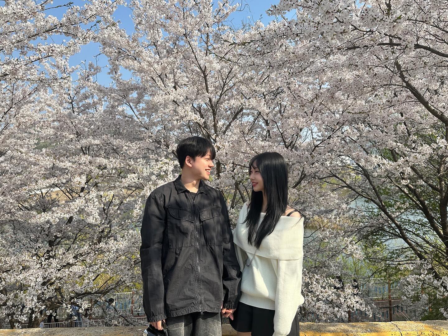 단대CCㅋㅋ🤍