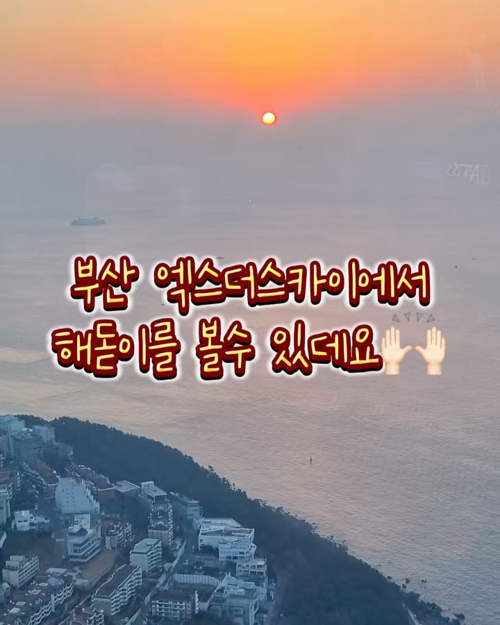 여러분🤗️‼️
부산 엑스더 스카이에서 
해돋이를 볼 수 있다는 거
알고 계신 분 있으실까요?🙋🏻‍♀️

일전에 추후 있을 공구로 인해 답사 갔다가 
새롭게 안 사실이에요!👍🏻

저도 이번에 처음 알아서 
모르시는 분들이 많으실까 싶어 정보 올려보아요!
혹여나 부산 해운대에서 이번 해돋이
생각하고 계시는 분들 계시다면

더 이상 밖에서 추위에 떨지 마시고
부산에서 가장 높은 곳에서 
따뜻하게 해돋이 즐기실 수 있으니
참고하시면 좋을 것 같아요:)🙏🏻

🟩현재 네이버 예약으로 들어가시면
엑스더 스카이 전망대 입장권이
대인권 21,600원 소인 19,200원인데
동일한 가격에 해돋이도 보고 렌티큘러전시도 체험하고
핸디 크로퍼(해피뉴이어라는 문구가 들어가 있음)와
소망 비행기 1회도 할 수 있다고 하니 참고 부탁 드려요:)

🧡해돋이 1월1일은 예외적으로 
99층 스타벅스 06시 30분 조기 오픈
98층 쿠디푸디(달콤커피) 06시 00분 조 기오픈 한다고 해요:)
일찍 가셔서 커피 한잔 드시며 일출을 기다리시는 것도
좋은 추억이 되지 않을까 생각해요🥰

✔️참고로 평소 해돋이의 경우☀️
7시에서 7시 30분에 뜬다고 하니 참고해 주세요:)

‼️해돋이‼️ 라고 세 글자만 댓글 남겨주시면✍🏻
네이버 링크 자동 디엠으로 보내드릴게요!💌

#부산명소 #해돋이명소 #부산해돋이
#해운대명소 #해운대가볼만한곳