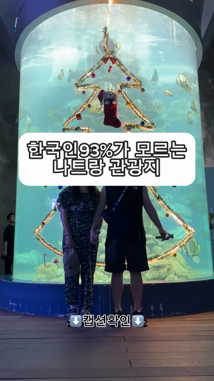 나트랑에서 유일하게 한국어 안들렸던 곳...
⠀
해양생물에 관심이 있는 ⠀
아이와 함께 가기좋은 ⠀
나트랑 관광지로 추천해요.⠀
⠀
📍나트랑 국립해양박물관 (아쿠아리움)⠀
National Oceanographic Museum of Vietnam⠀

📍주소 : No. 1 Cau Da Vinh Nguyen Ward, Nha Trang 650000 Vietnam⠀
⠀
=======================⠀

✅입장료 : 40,000동⠀
✅운영시간 : 월~일 06시-18시⠀

========================⠀
⠀
✅18m길이의 10톤짜리 고래뼈가 있는 곳⠀
⠀
✅나트랑 해변과 연결되어 있어서 해변까지 ⠀
구경할 수 있어요.⠀
⠀
✅2,000원으로 동남아에서만 볼 수⠀
있는 열대어도 볼 수 있어요.⠀
⠀
✅영상에서처럼 사진찍기 좋은 포토존도 있어서 추천.⠀
⠀
========================⠀
⠀
✅니모, 산호 , 상어, 거북이 등 ⠀
한국에서 쉽게 보기 힘든 해양생물을⠀
한 곳에서 만나볼 수 있어요.⠀
⠀
=========================⠀
⠀
#양면트립⠀
⠀
yanameon_tape⠀
yanameon_tape⠀
yanameon_tape⠀
⠀
==========================⠀
#나트랑 #나트랑여행 #나트랑자유여행⠀
#나트랑가족여행 #nhatrang #vietnam⠀
#나트랑여행지추천 #nhatrangtrip⠀