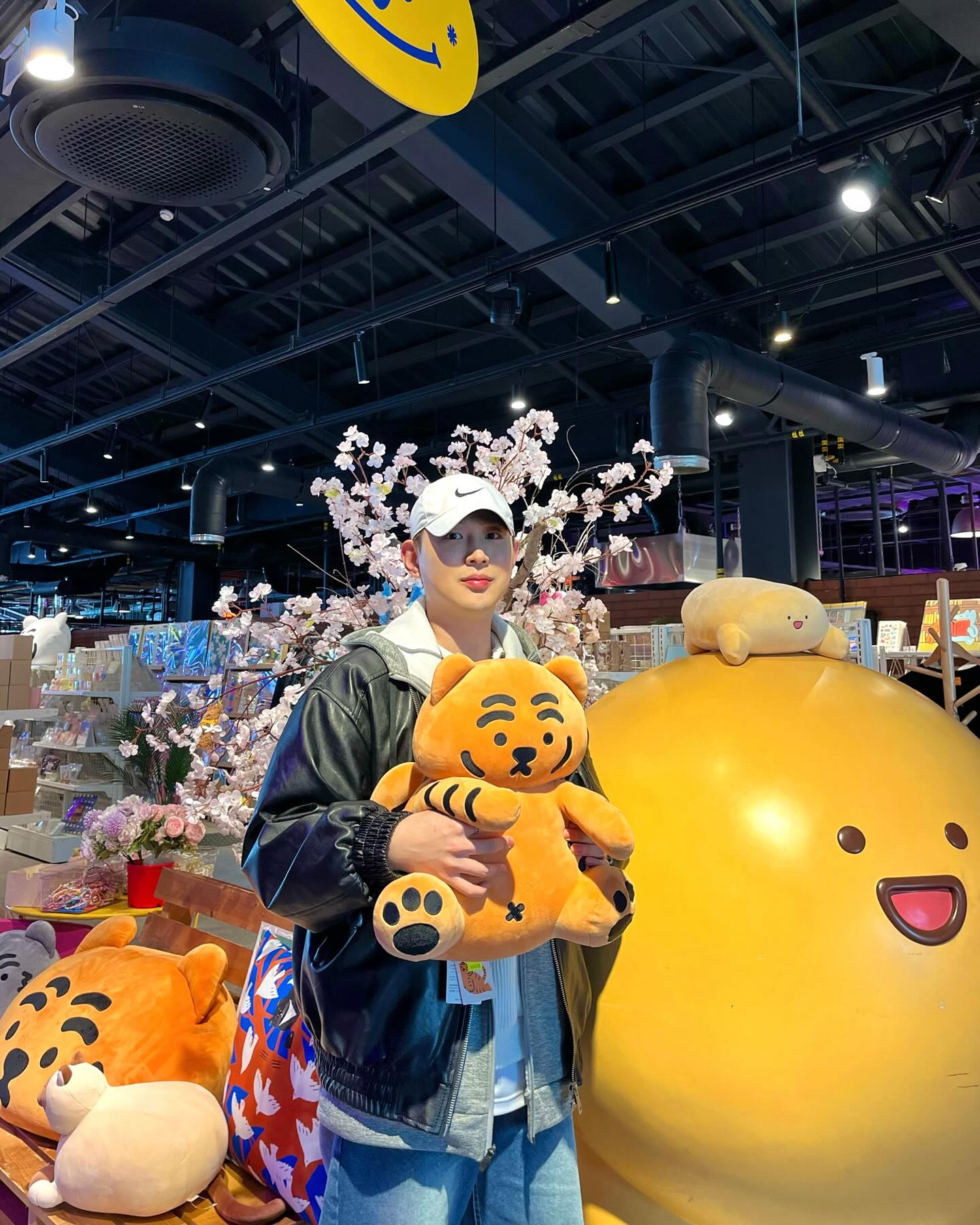 🐯