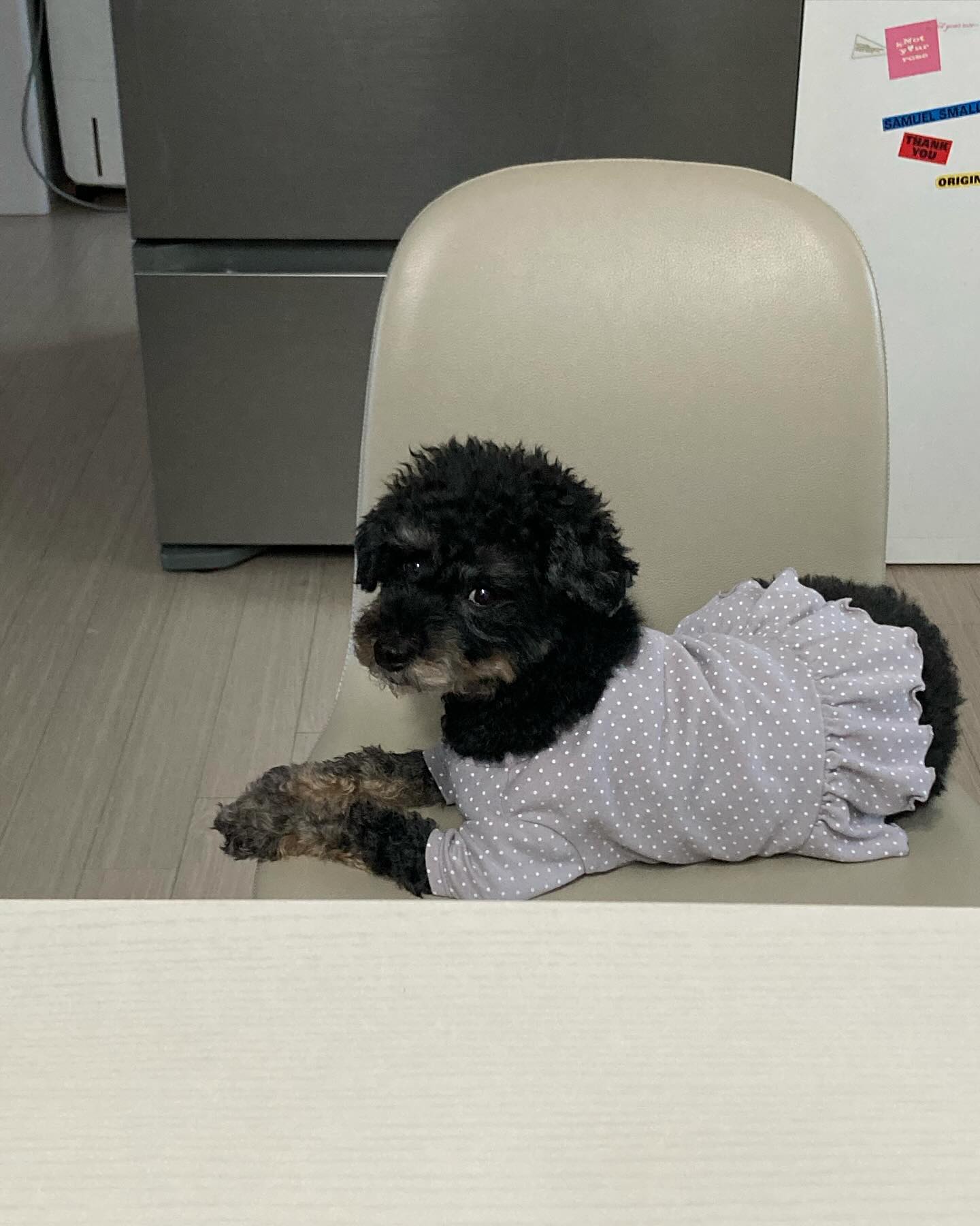비몽사몽 오빠 출근시키기