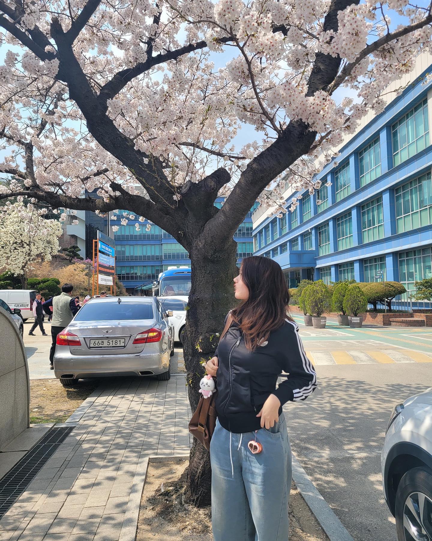 봄봄봄🌸