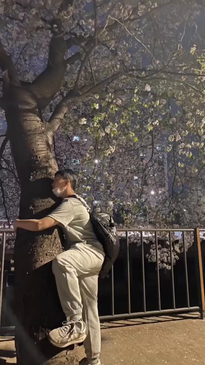 우리의 벚꽃 나들이 끄읏🌸