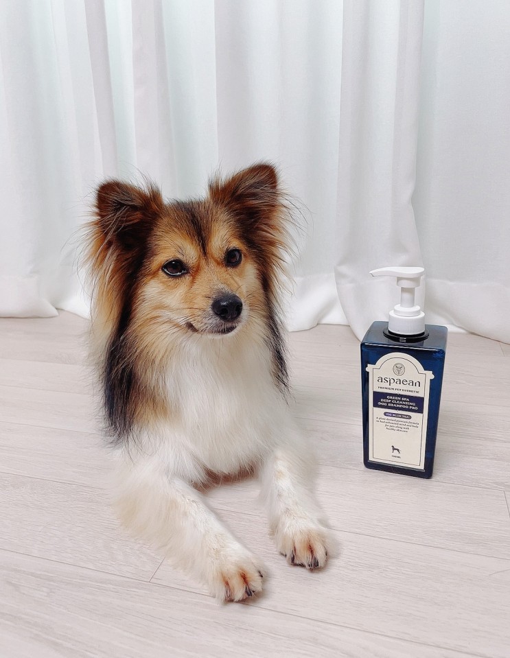 에스파이안 강아지샴푸로 깔끔하게 목욕 :)