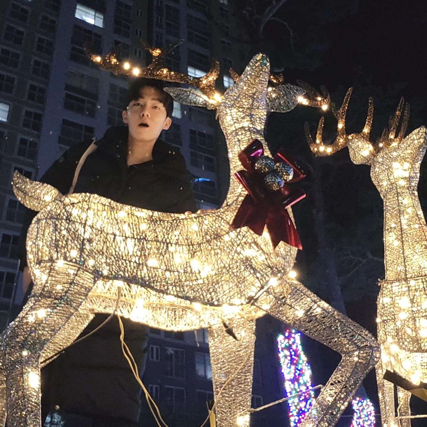 다들 크리스마스 잘 보내셨나요🎄
