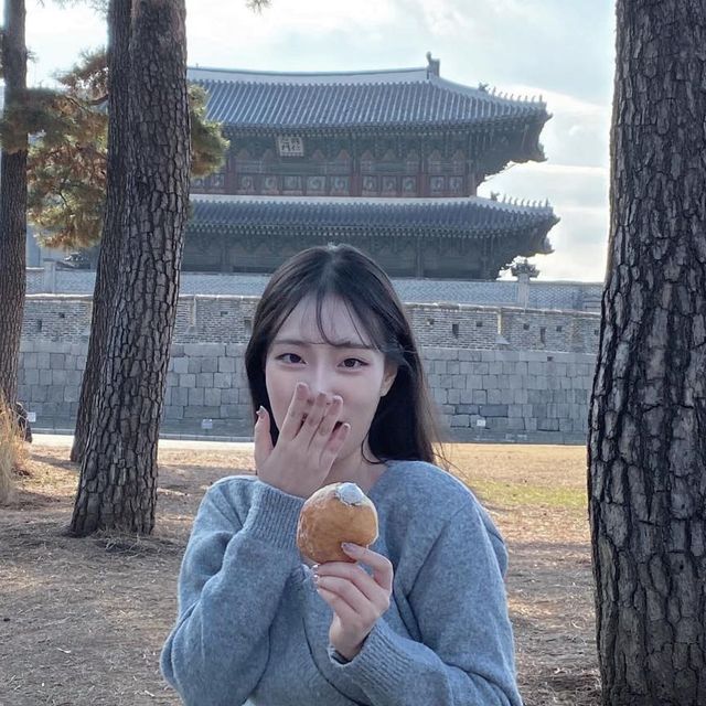  김채린◡̈ on Instagram: "다이어트지만 빵은 못 참지🥖🥐🥯🍞

오늘 날이 너무 좋길래 한양도성길 탐방,, 종로 나들이엔 빠질 수 없는 크로도 @cafecrodo 🫶🏻

✔️도넛
물 없이 우유 💯프로라 먹어본 도넛 중에 폭신쫀득 최고랍니다,,, 느끼한 크림 싫어해서 도넛 진짜 잘 안 먹는데 요기 도넛은 딱 달달해서 놀랐던 맛🥹🥹

✔️베이글소금빵
맛있는 거+맛있는 거=말모,,,, 직접 개발하신 베이글 반죽이랑 탕종(발효종)으로 소금빵을 만드셨대요…!! 크림치즈랑 구황작물들로 속이 꽉 차서 
배가 심각하게 부름,, 그 중에 제 원픽은 고구마크림치즈🤍 

#종로구카페 #동대문카페 #동묘앞카페 #창신동카페 #도넛맛집 #베이글맛집 #바스트치즈케이크맛집 #한양도성길 #동묘구제시장 #동대문완구거리 #종로데이트 #동대문데이트 #창신동데이트 #서울신상카페 #청계천카페 #서울디저트 #일상 #데이트추천 #봄나들이룩"
