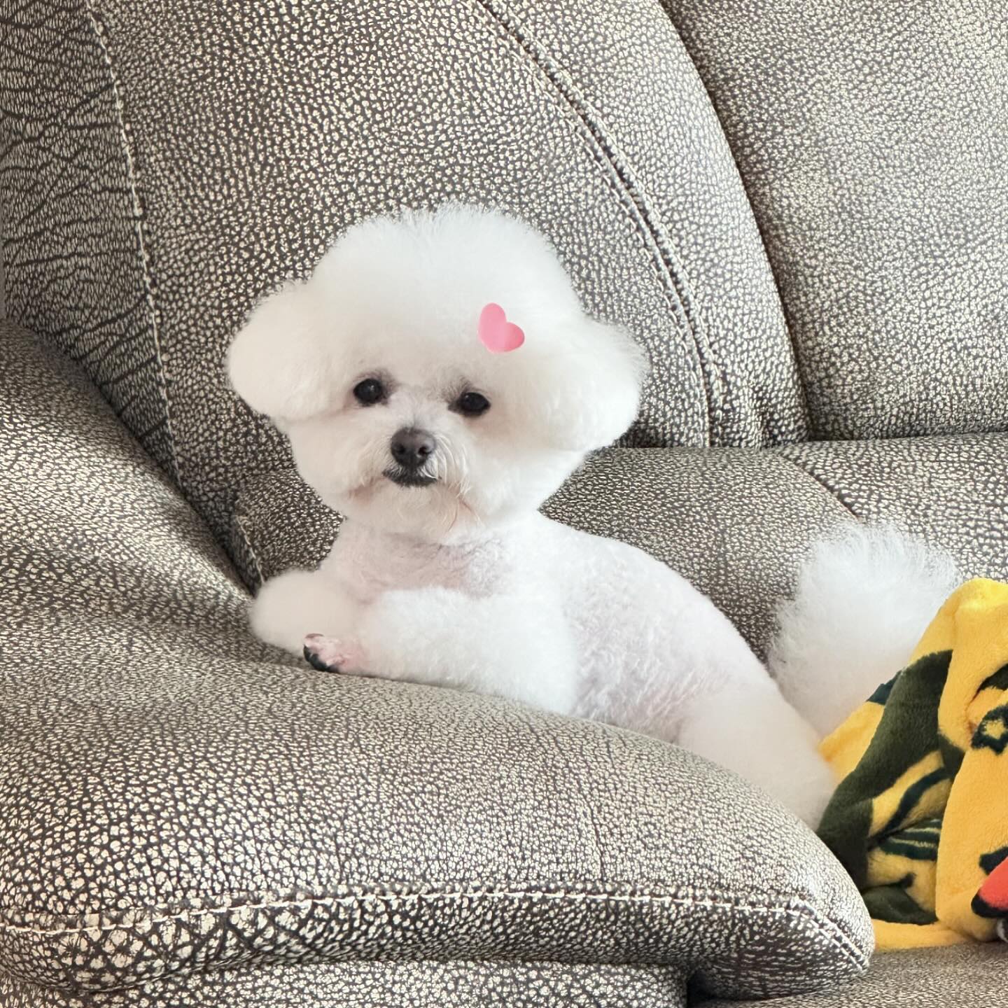 여름은 젤리를 지치게 만든다😣