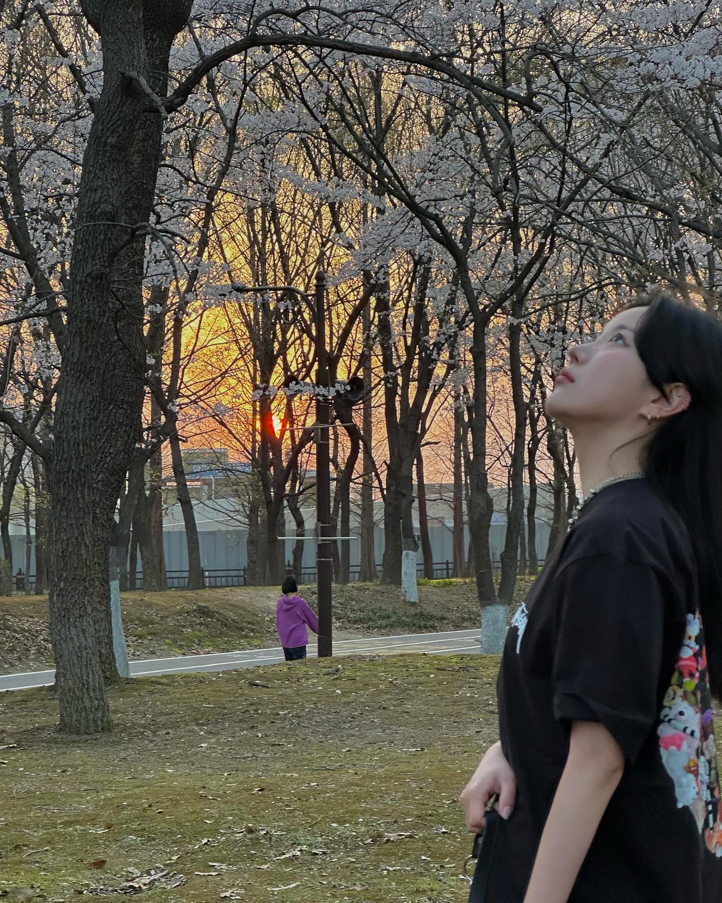 넣입 빼입