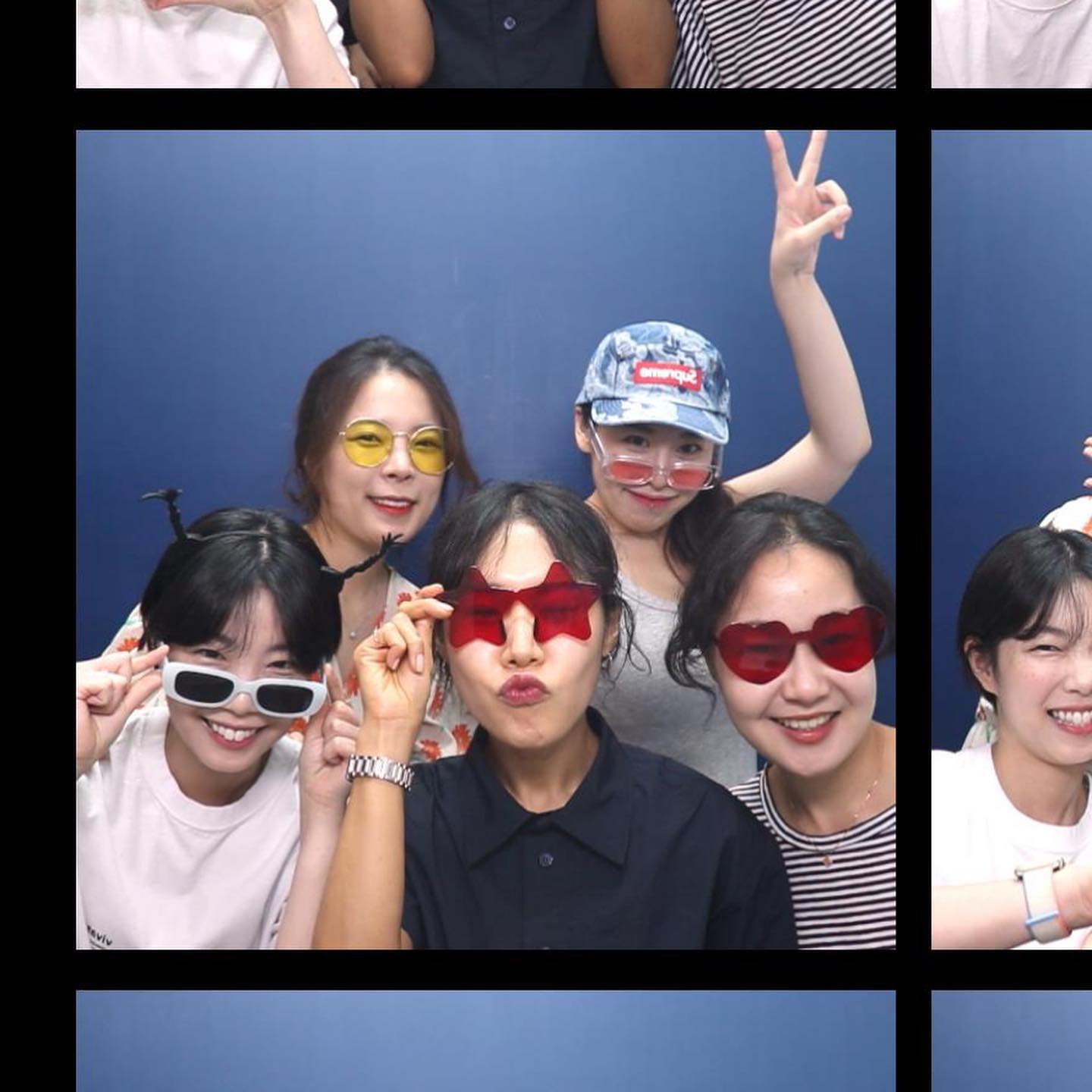 좋아해 🐢🦖🦎🍀