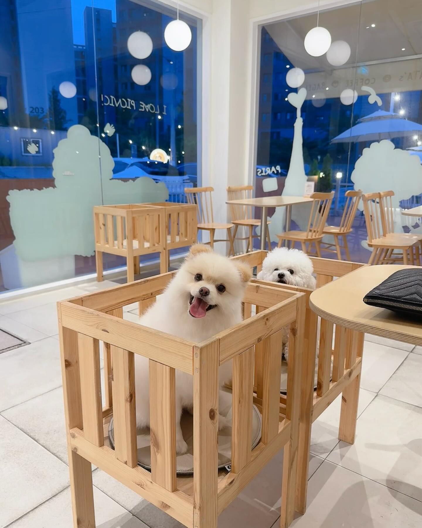 찐빵이랑✌🏻✌🏻