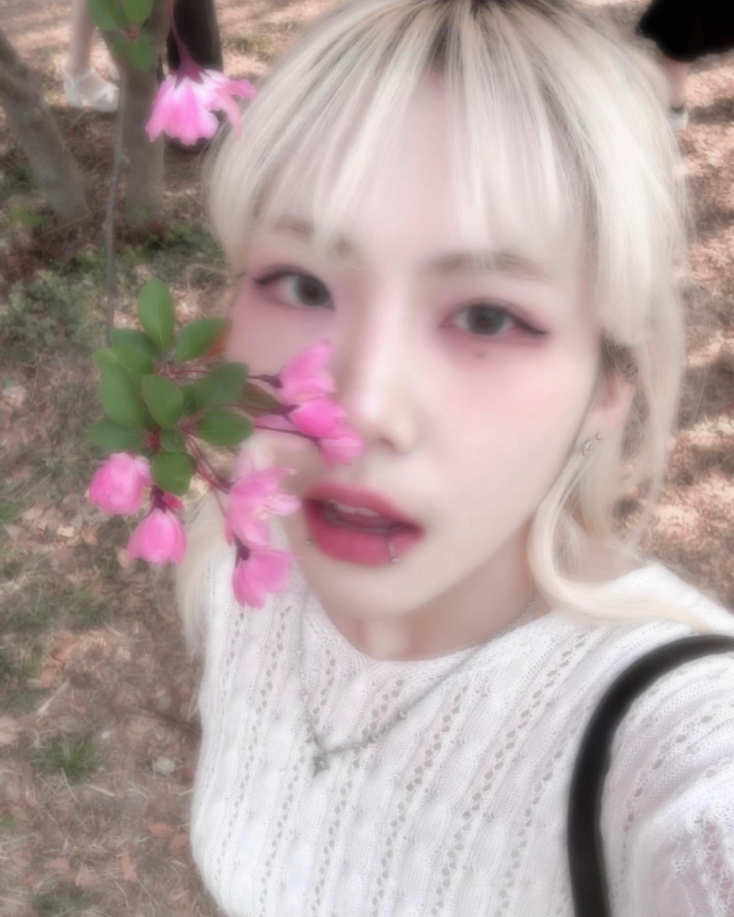 콘텐츠