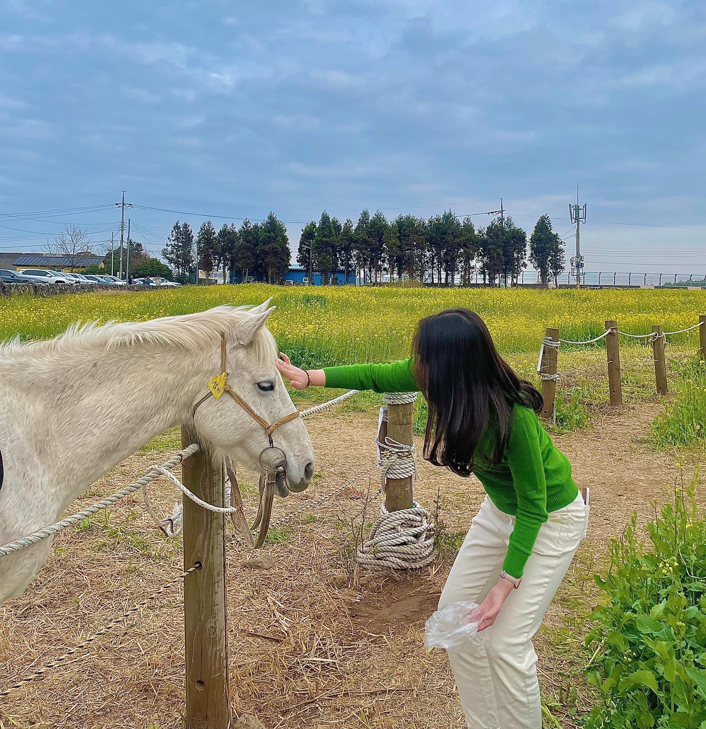섭지랑 교감중🐎