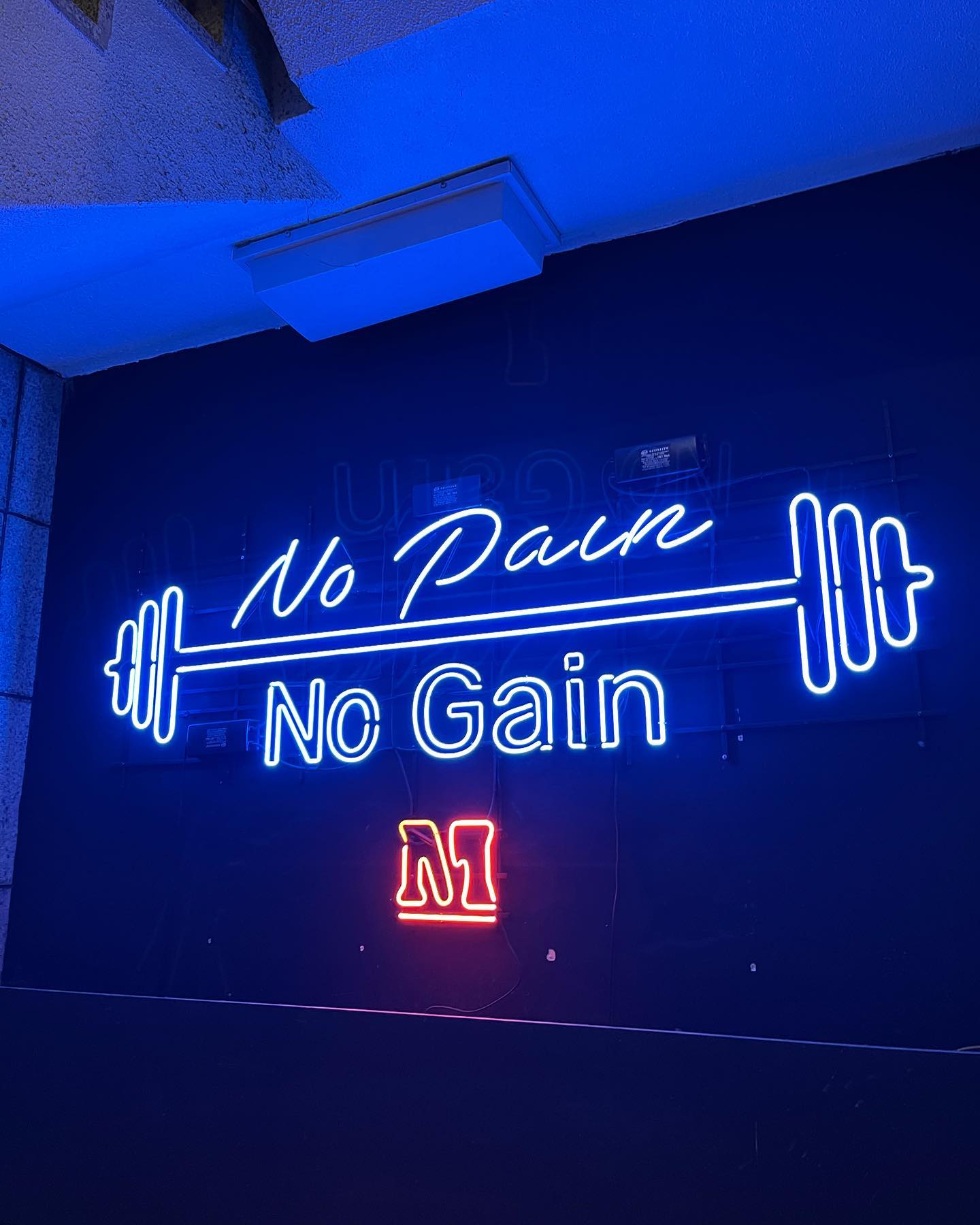 나 이제 몸짱 될게🏋🏻‍♀️