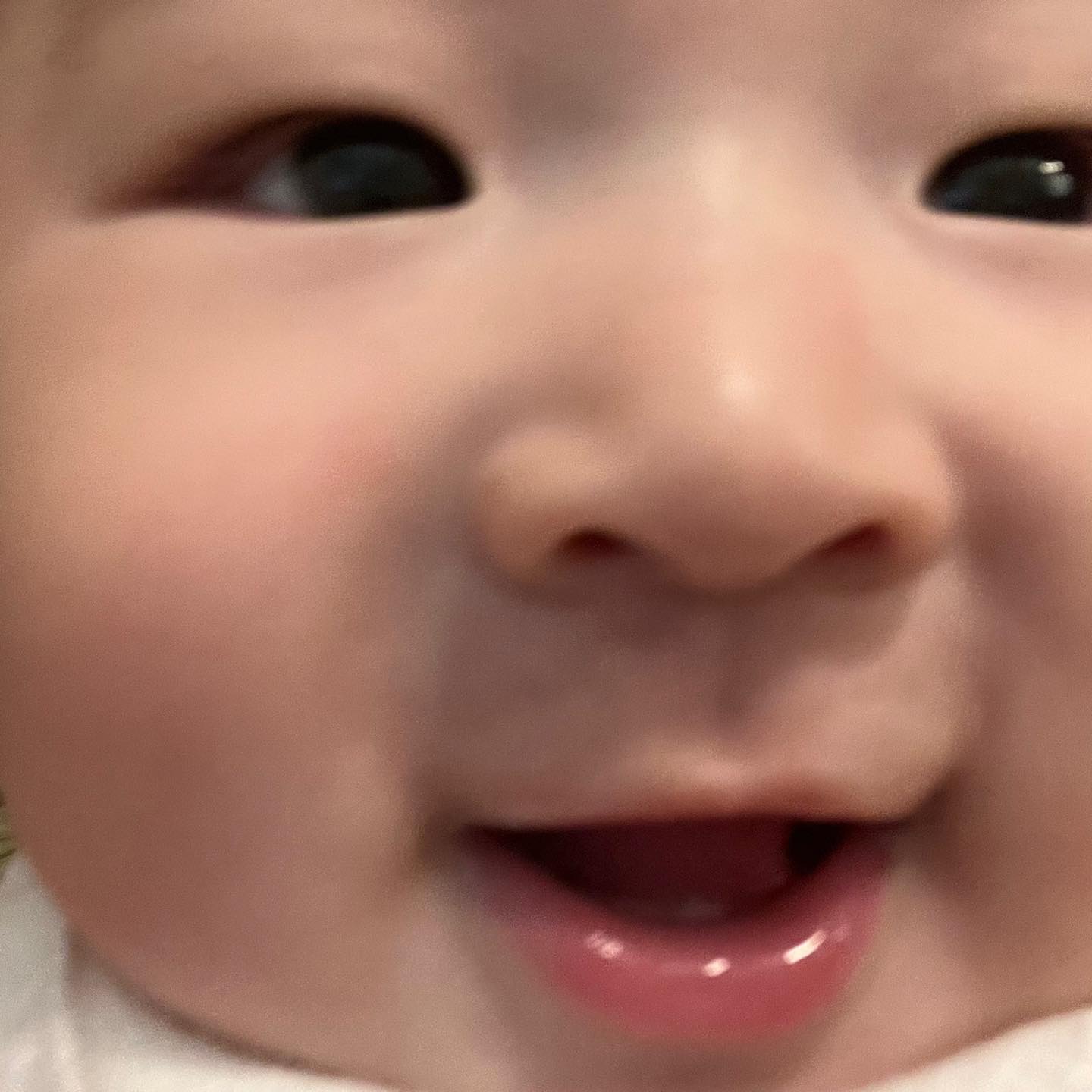 지한티 아기 시절이 넘넘 그리워용 밍밍