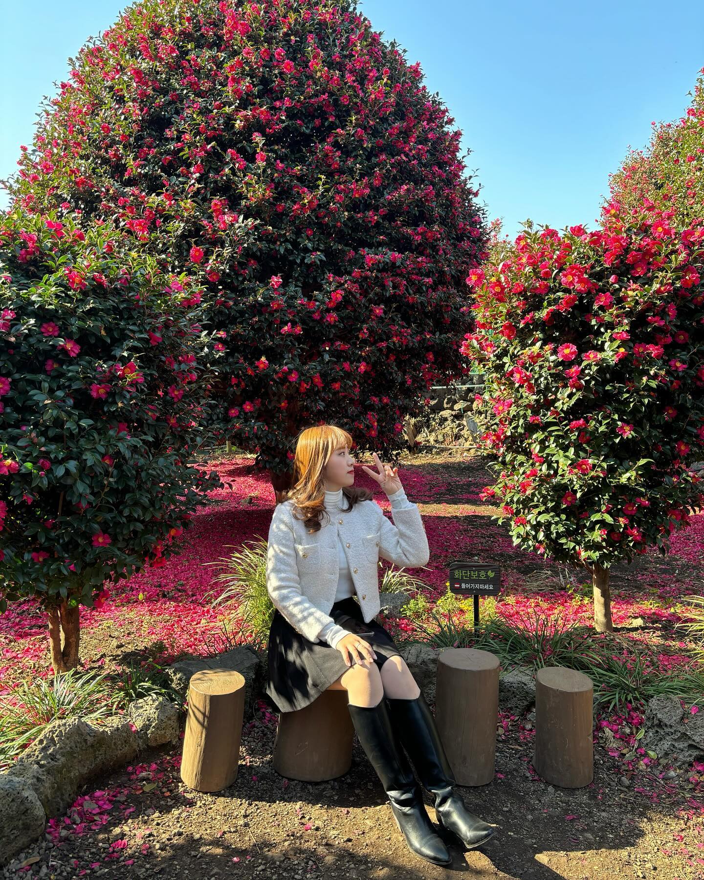 🌺 𝕔𝕒𝕞𝕖𝕝𝕝𝕚𝕒 𝕗𝕝𝕠𝕨𝕖𝕣 🌺

#제주도 #동백 #동백꽃 #동백수목원 #🌺 #셀카 #셀스타그램 #셀피 #셀카그램 #눈사람 #☃️ #⛄