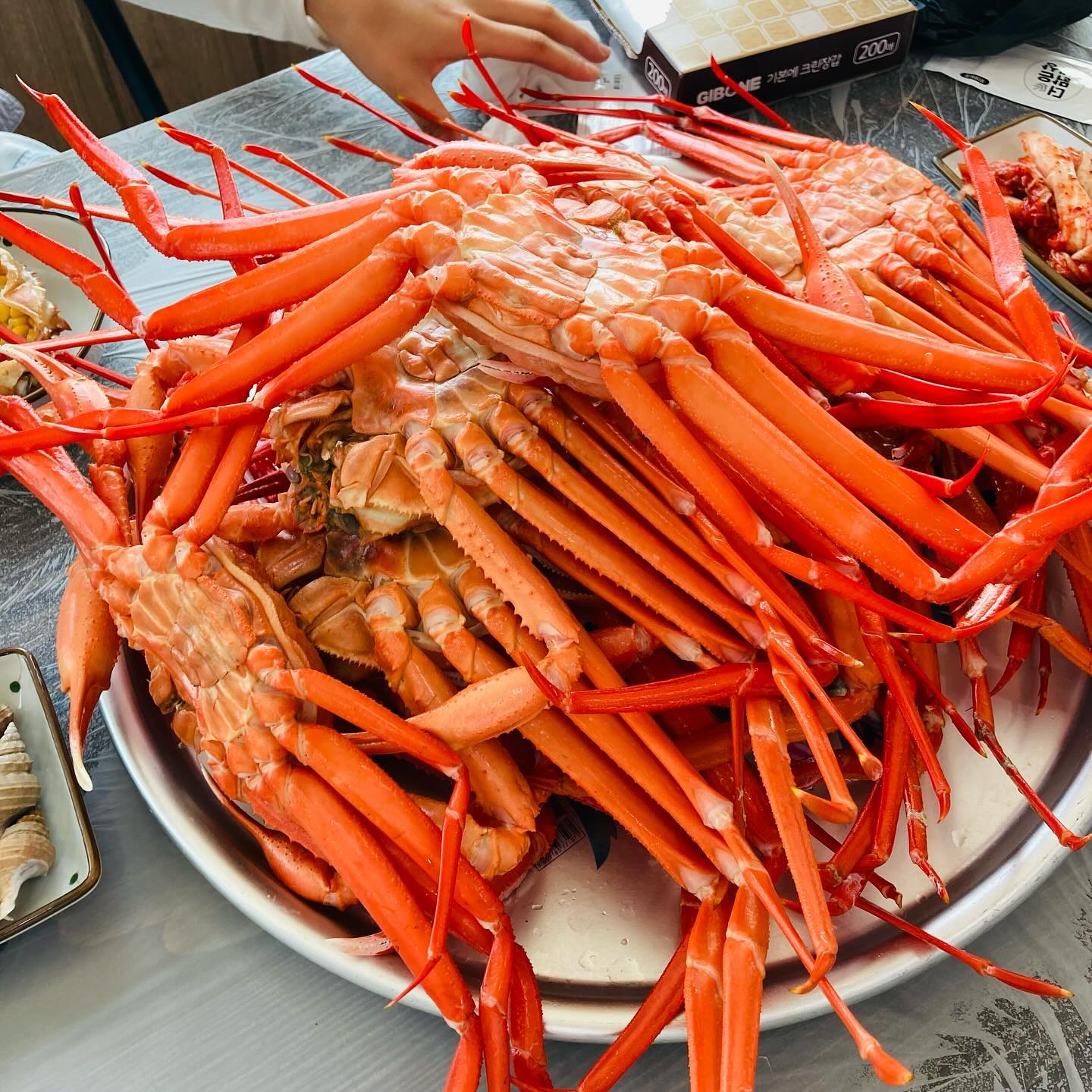 #홍게 #홍게라면 🦀