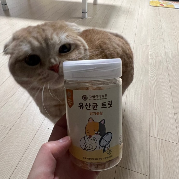 고양이간식 동결건조트릿, 온리버디 유산균 트릿 닭가슴살
