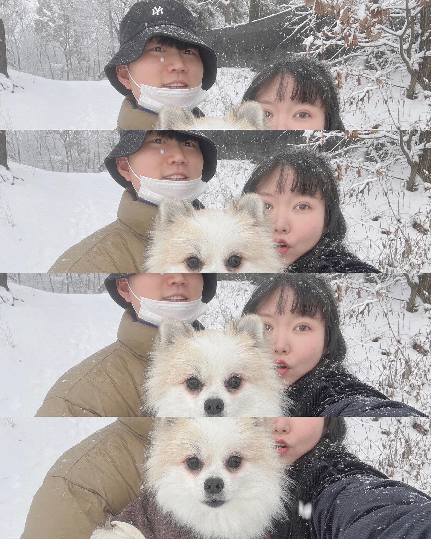 Bye, 2️⃣0️⃣2️⃣3️⃣
1-7 우리 세가족 첫 눈놀이❄️☃️🤍
8  새해를 맞이한 셀프선물🤭
9  왜 엄빠가 열두시가 되어도 안자는고지🐶..? 
10  우리 가족 살앙혀🫶🏻🫶🏻 엄니들 커플조끼 기요와🥹

#신혼부부 #럽스타그램 #보리까지 #세식구 #올해를마무리 
#눈놀이 #양주에눈이펑펑온날 #쿼드쎄라 #ldm물방울리프팅 
#양가부모님 #사랑합니다 #가족스타그램 #bye2023