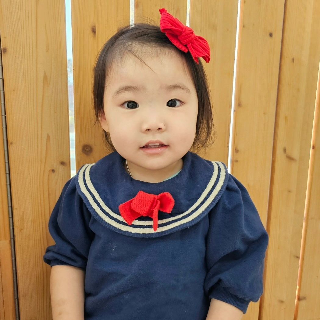 콘텐츠
