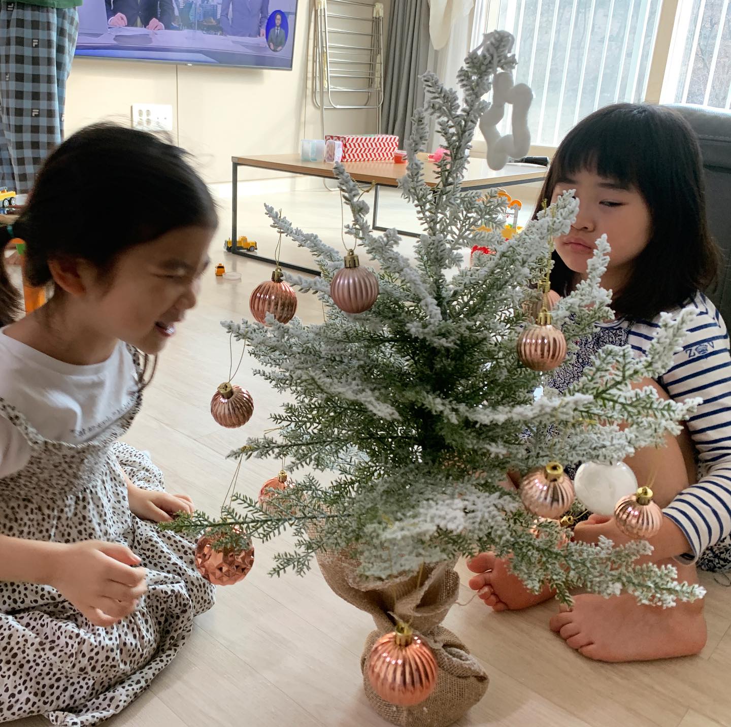 주렁주렁 나의 루루와 루둥이들
내 삶은 너희들이 있기 전과 후로 나뉜다
처음엔 잘 몰랐어
인생도 1막,2막이 있는 걸까.
힘든 시기에 어둠 속을 헤메기만 바빴지만
이제는 아냐. 작은 걸음이라도
꼭 나아가보기 시작했거든
목적지만 있으면 빙빙돌든 굴러떨어지든
도착은 하더라고

너희들이 너른 집 마당에서 매일 같이 뛰놀고
들어와 먹을 것을 찾고 우당탕거리고
수영장에서 첨벙대고 물에 젖은 채 뛰어들어와 엄마를 찾는 상상을 하며 다짐해.

몸이 부숴져라 바쁘게 살아야할지라도 좋으니
해낼거라고. 해내야한다고.
쉴새없이 놀게 해주고싶어.
이제껏 많이 놀아주지못하고 함께 해주지 못한
그 시간들을 하루 빨리 메꿔주고싶어
너희들과 함께 하는 시간이
내 온전한 휴식이자 책임감, 모든 에너지의 원천이었으면 좋겠다
사랑해 아가들 내 보물들