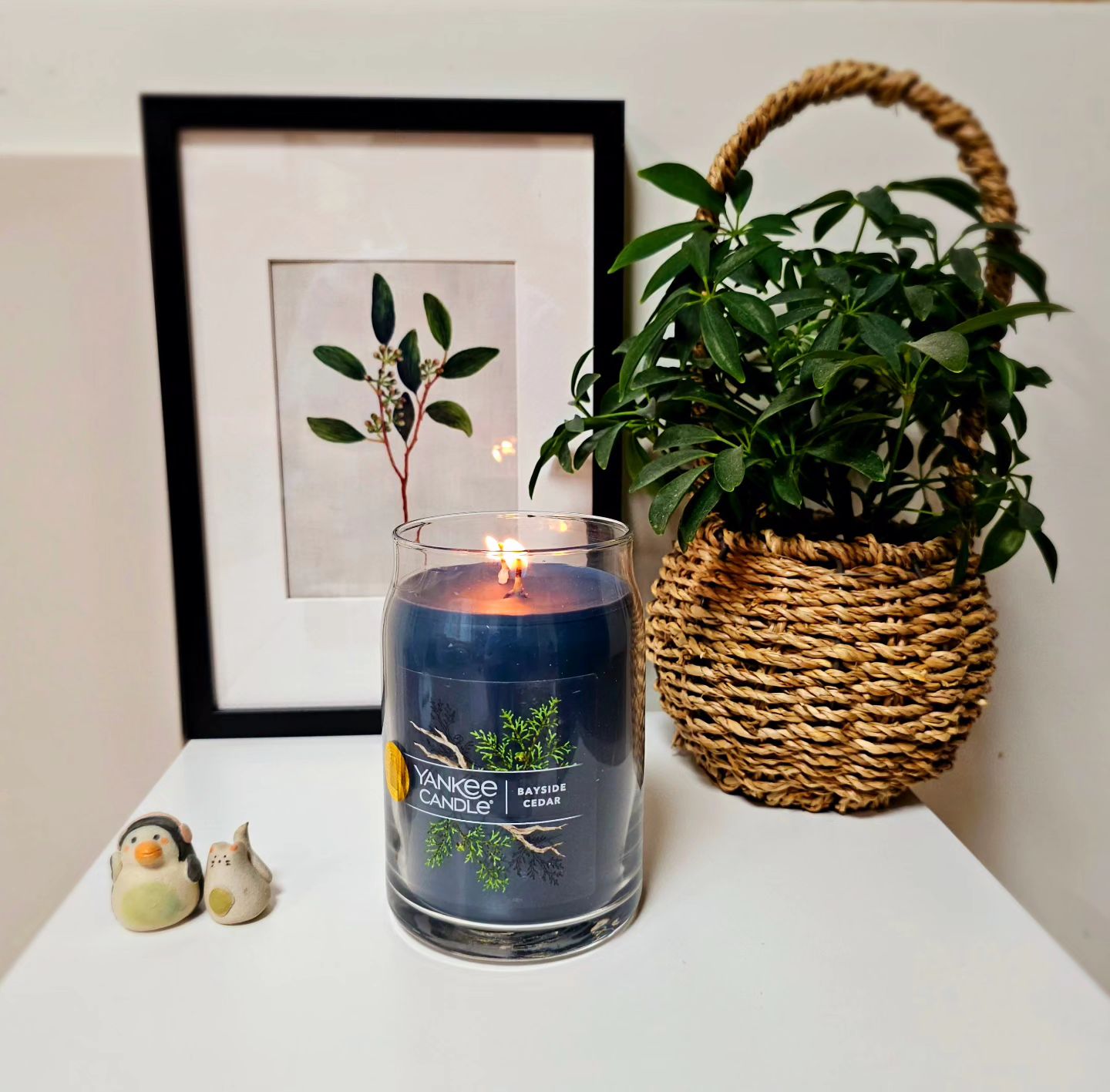 #협찬 yankeecandle_korea
무더운 여름 날씨에 에어컨 키니
문도 자주 못 여는데.. 장마철인 요즘 
연신 내리는 비로 제습기로도 못잡는 눅눅함과 꿉꿉한 냄새에 음식 만들면 다양한 음식냄새까지 더해지니 
스트레스 만땅이네요..🥲

이럴때 필요한건 뭐?
눅눅함과 꿉꿉함 냄새 잡아주는 탈취에 제습, 
향기까지 좋은 양키캔들을 킨답니다~

이번에 만나 본 제품은 프리미엄 소이캔들시그니처 컬렉션 자캔들로 여름엔 워머 사용보다는 직접 불로 켜는게 
더 좋더라구요. 시그니쳐 컬렉션 소이블렌딩이라 
연기도 적고 끌때도 냄새가 나지 않아서 넘 좋아요~

코튼 심지와 프리미엄 소이왁스 블렌드로 
깔끔하게 연소되고, 부드러운 향기로 공간을 
채워주니 넘 좋아요~

제가 픽한 베이사이드 시더는 새콤달콤한 자몽과 
만다린 꽃 그리고 따뜻한 엠버의 조화로움이 
상쾌한 향으로 다가와서 넘넘 기분좋더라구요.

세련되고 고급진 선물 포장 패키지라
선물하거나 셀프 선물로도 기분 좋은~

캔들도구 윅디퍼와 미니라이터도 함께라 좋아요~ 
윅디퍼 이용해서 왁스에 담가 끄면 연기나 그을음 없이 안전하게 소화되고, 심지에 왁스가 코팅되어서 
더 깔끔하게 사용 가능! 캔들라이터는 심지가 깊을때 안전하고 편하게 불을 켤 수 있어서 좋더라구요.

환경부 고시 유해성분 불검출로 안심하고 
사용 할 수 있어서 선물하기도 좋은 양키캔들 구매시 공식수입원 정품 인증 홀로그램 스티커 부착 여부 
꼭 확인하세요~
.
.
#양키캔들 #프리미엄소이캔들 #양키캔들향추천 #양키캔들사용법 #양키캔들정품 #캔들선물추천