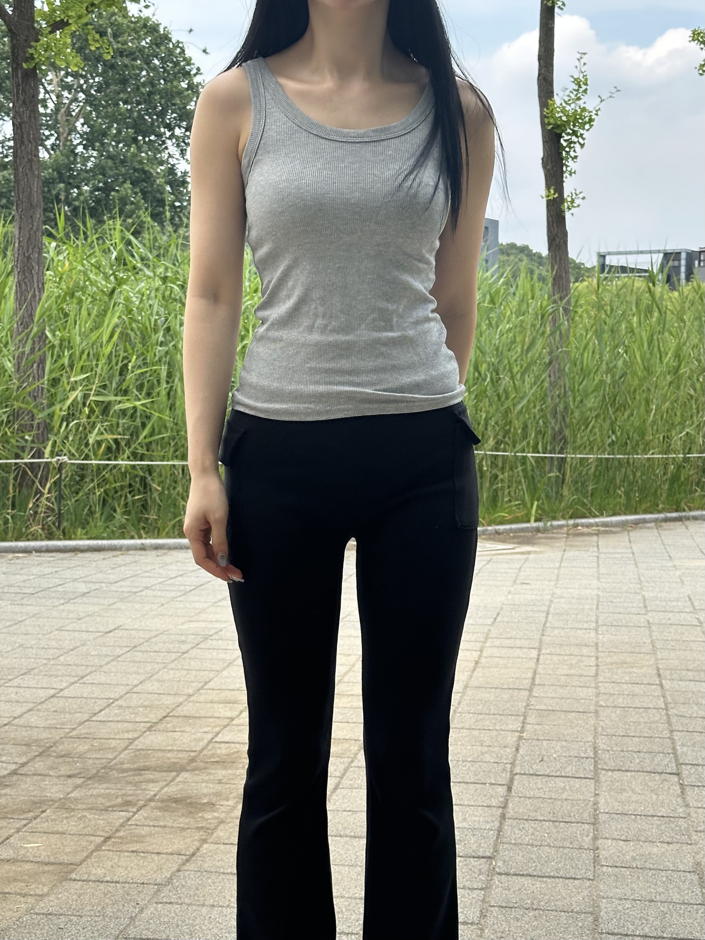 마젤브라운