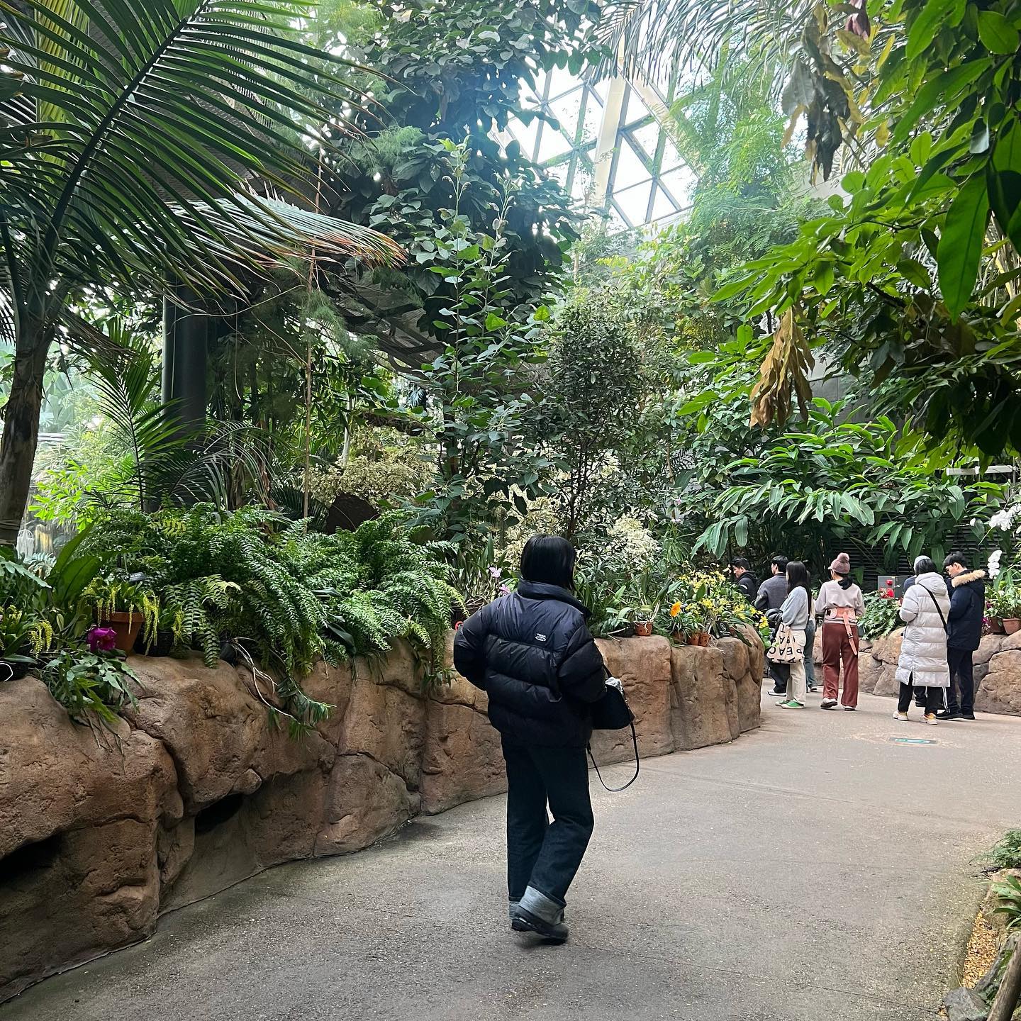 .
.
이사가기 전.. 4년만에 드디어 가본 서울식물원🌲🌴🌺🌵
너무 좋았다..마곡나루..!!!
돈 많이 벌어서 돌아와야지...😂
引っ越し直前、
家の目の前すぎて、今まで行けてなかったこ植物園へ🌳
本当に住みやすくて、
またいつか戻ってきたい場所💭
.
.
.
#서울식물원 #식물원 #마곡나루 #주말나들이 #주말나들이추천 #연휴시작 #설연휴 #새해복많이받으세요