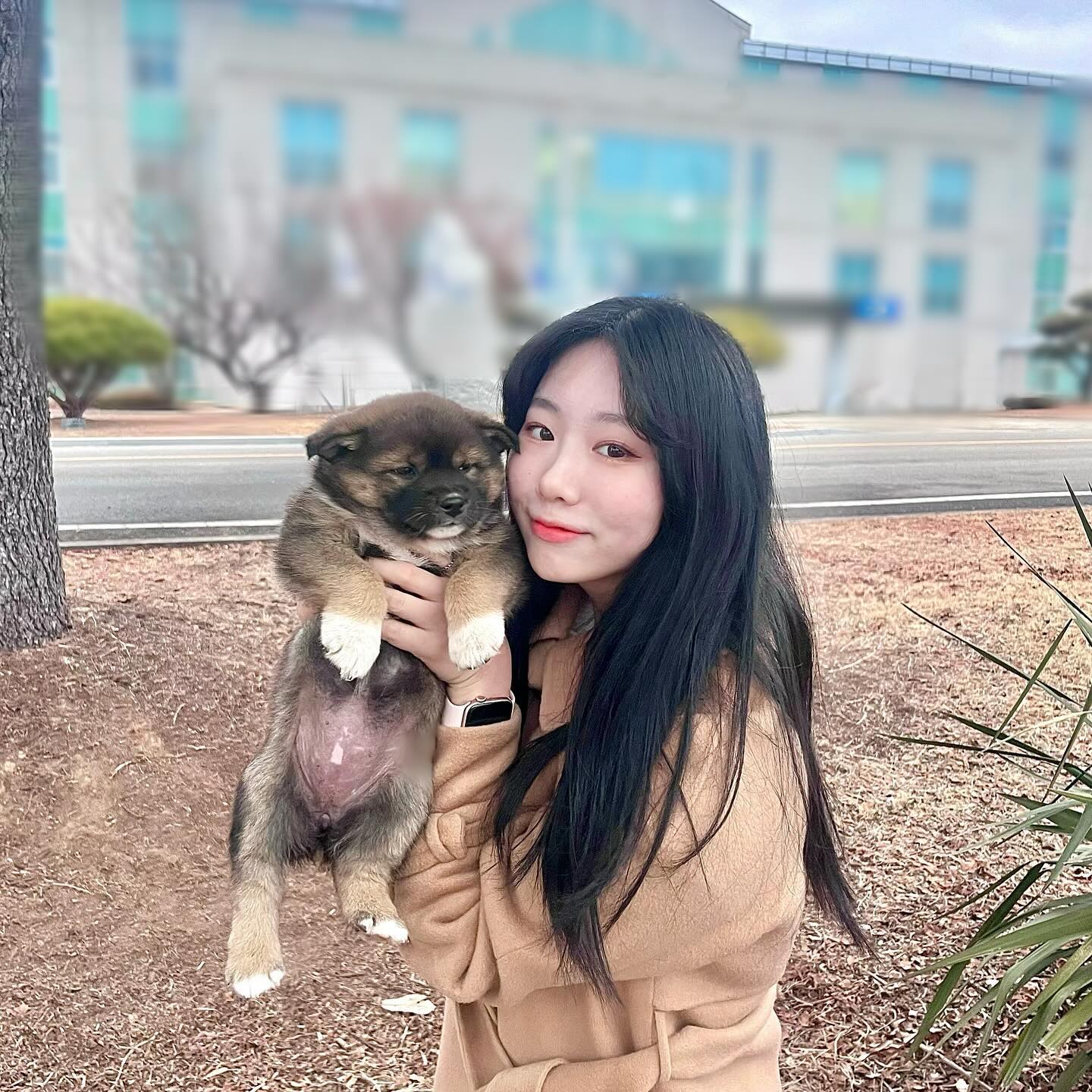 ㅊㅇㄱ에서 ㅁㅇ랑

Pb ㅎㅅ, ㅇㅅ