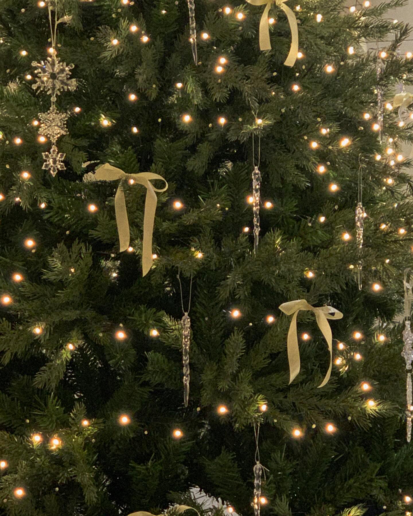 올 겨울 트리 구경다 해땨.🎄🤶
(아직 트리 보고 한참 신날 나이.)
12월 시작이 죠하.
팅팅 부어찌만 그래도 쥬아.

#12월 #winter #☃️