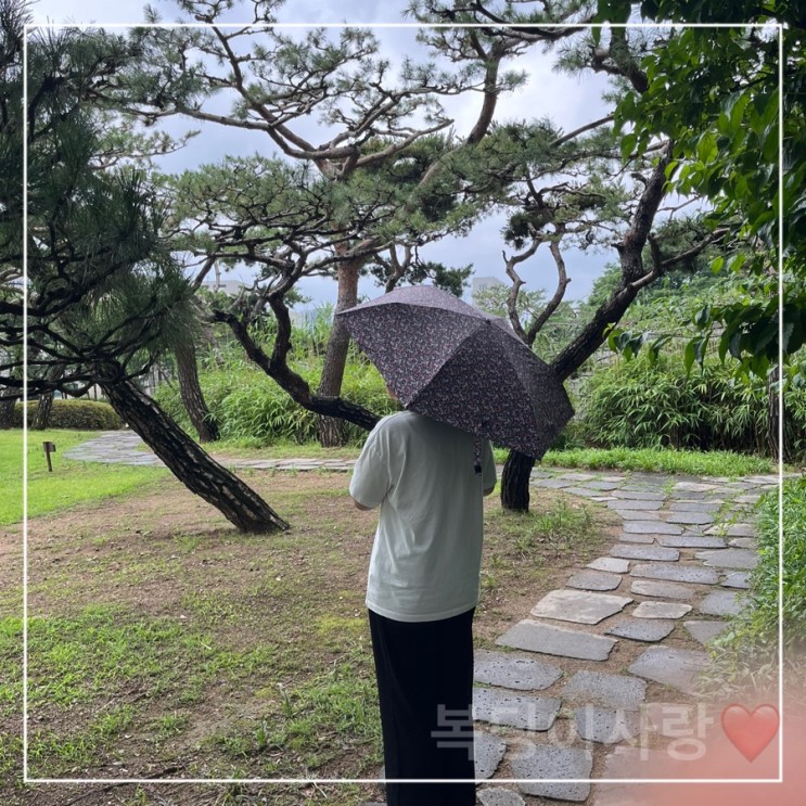 완벽한 자외선 차단 가벼운 우산, 양산 겸용 우양산 크로커다일 3단 후기 입니다