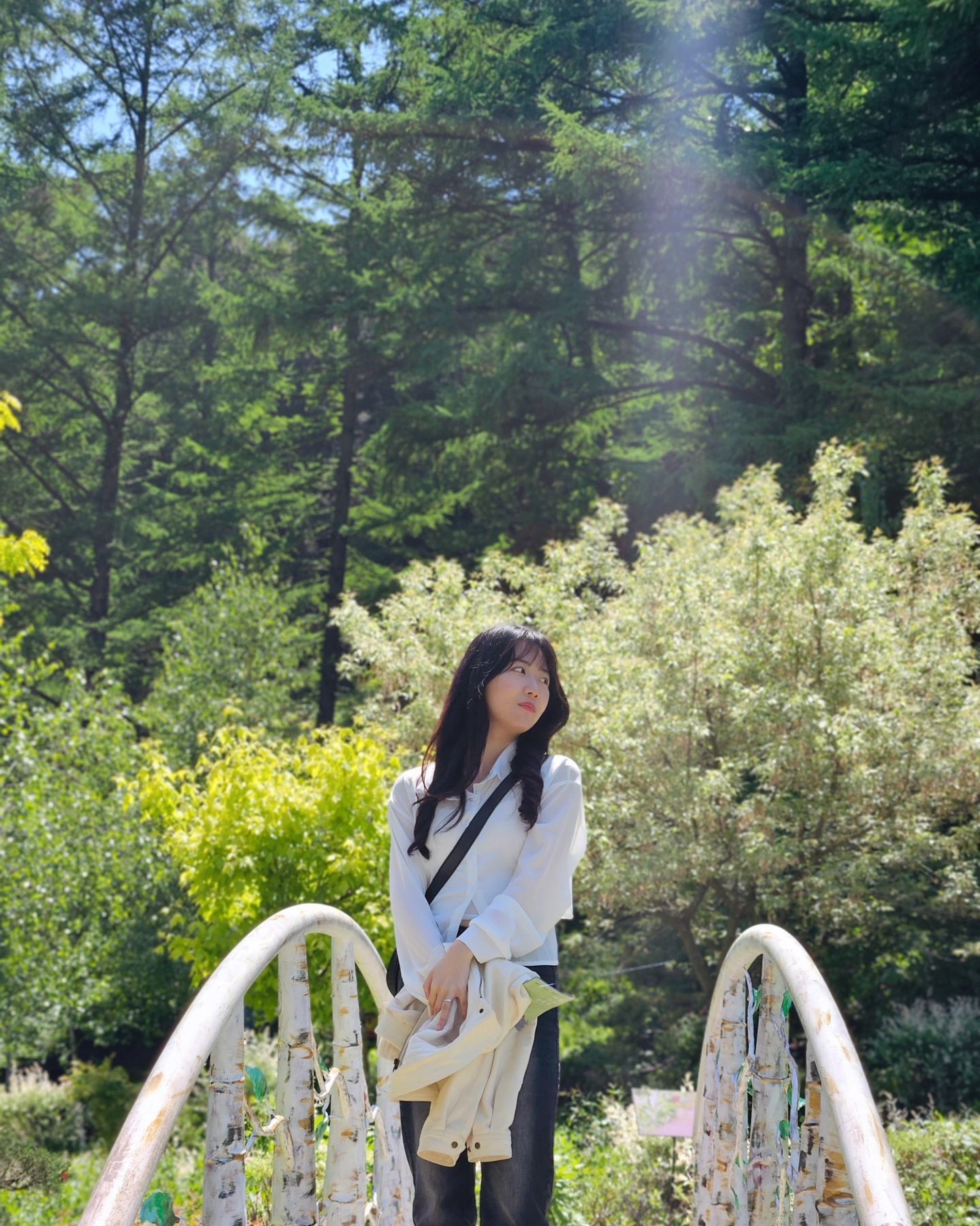 녹은 튤립 보고 주말 삭제 🌷