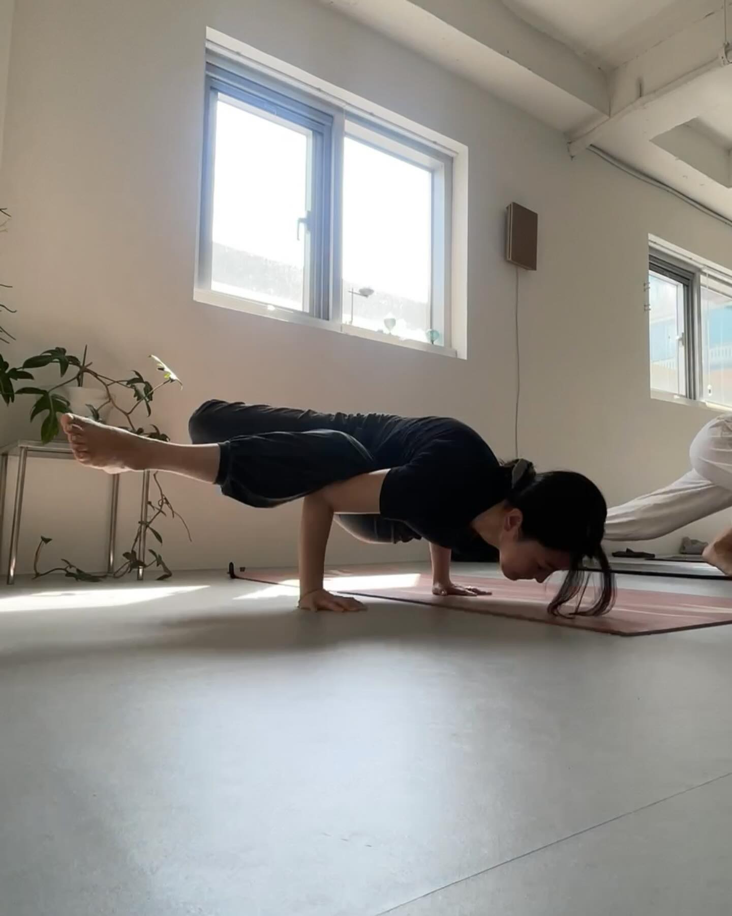 목삐임 이슈로 오늘은 반쪽 수련 🤕
그래도 즐거웠어 ...〰️〰️🌿🤍