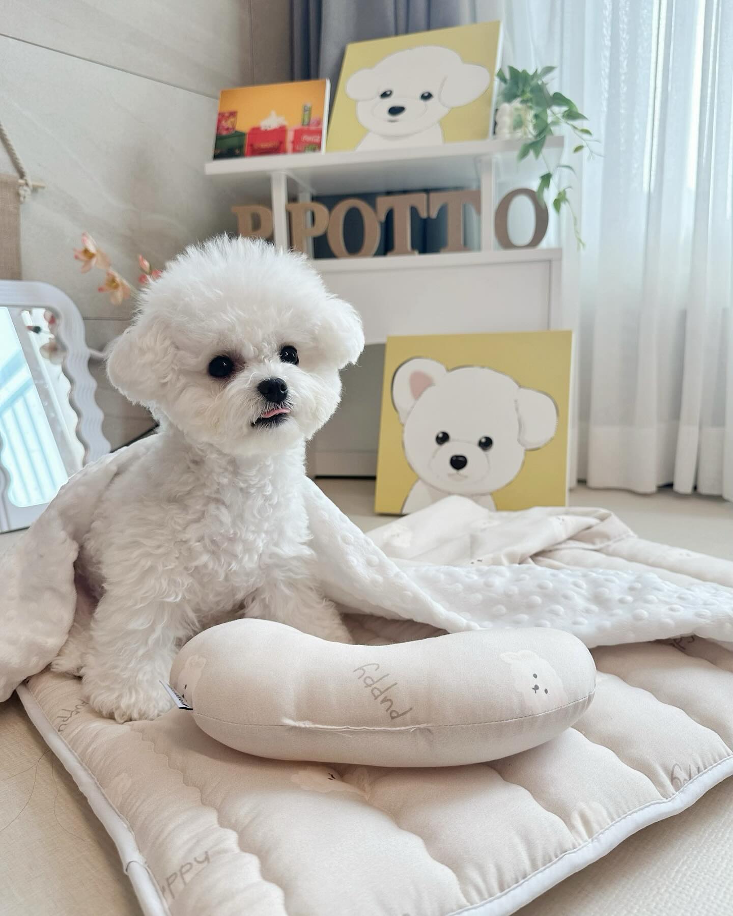 친규들 주말 잘보냇오?💛
로또뽀또도 워료일아침이라 몸이 무겁ㄴㅔ에..

새로운 낮잠이불패드 생겨서 자랑하려구해💛
그거슨 #페리가토낮잠패드세트 
로또네는 퍼피베베라이트 선택햇는데 넘 찰떡콩떡..💛

폭신폭신 넘 부드럽다구(◍•ᴗ•◍)❤

🎁 perrigato_official 

오늘도 월요팅하세오!!!!💛
.
.
.
#강아지매트 #강아지방석 #강아지쿠션 #고양이방석 #고양이매트